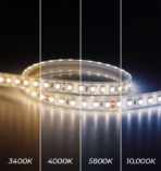 N-Series LED Strip Light - Ultra Bright - Single Color - Waterproof - Image 3